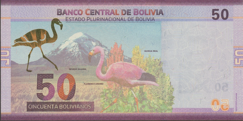 Imagem do verso da cédula