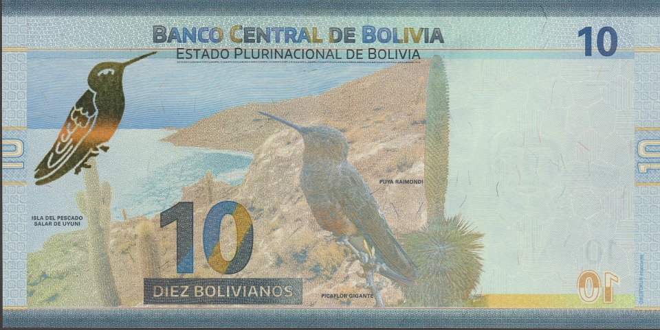 Imagem do verso da cédula