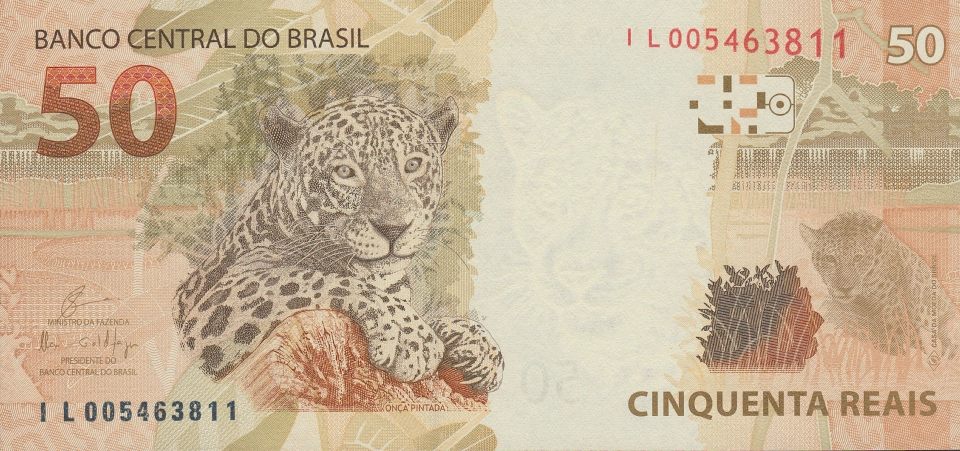 Imagem do verso da cédula