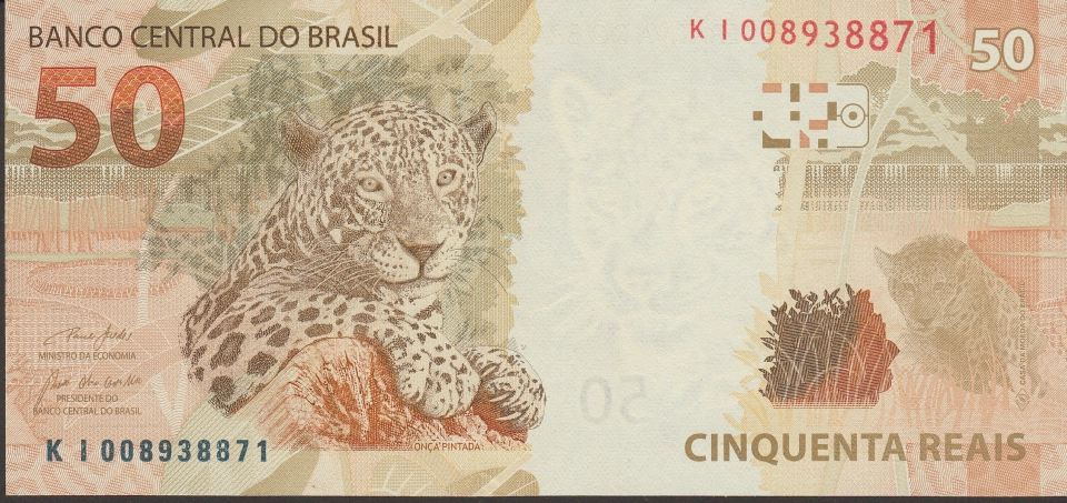 Imagem do verso da cédula