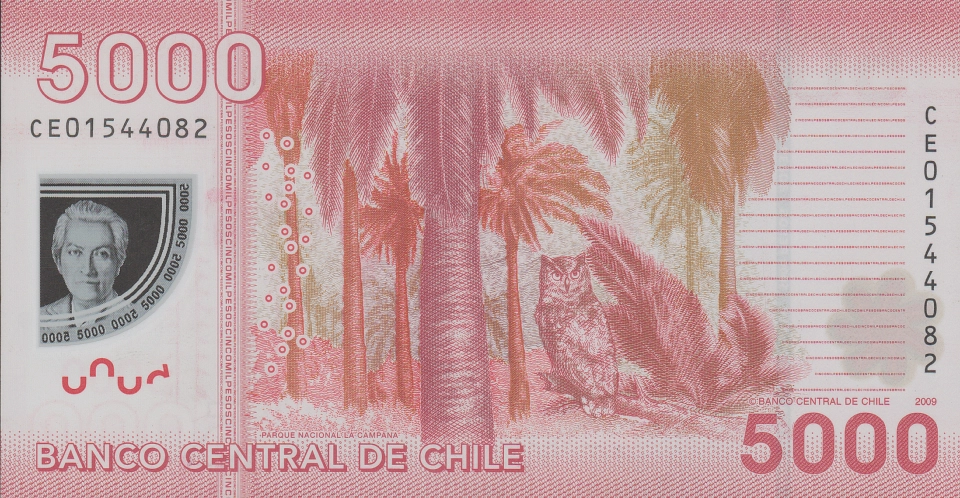 Imagem do verso da cédula
