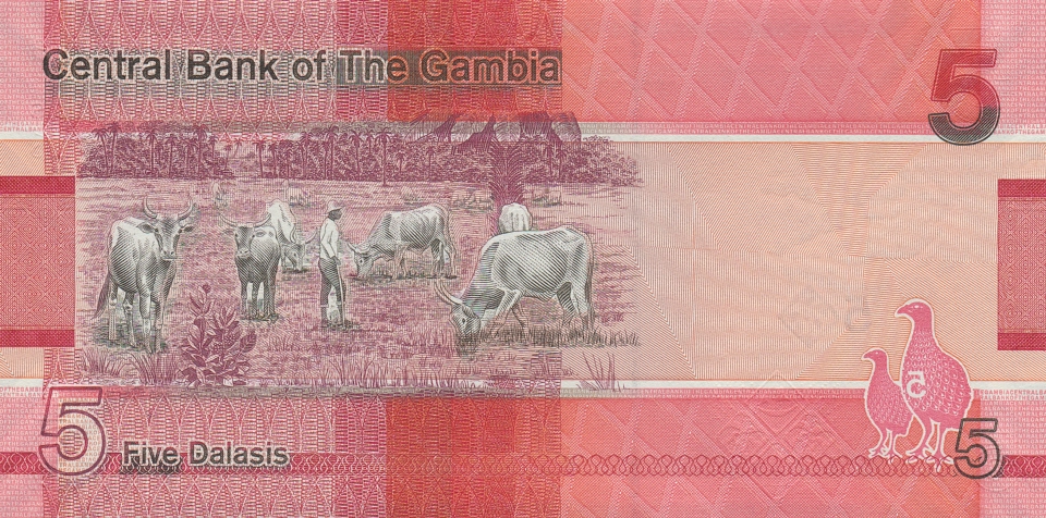 Imagem do verso da cédula