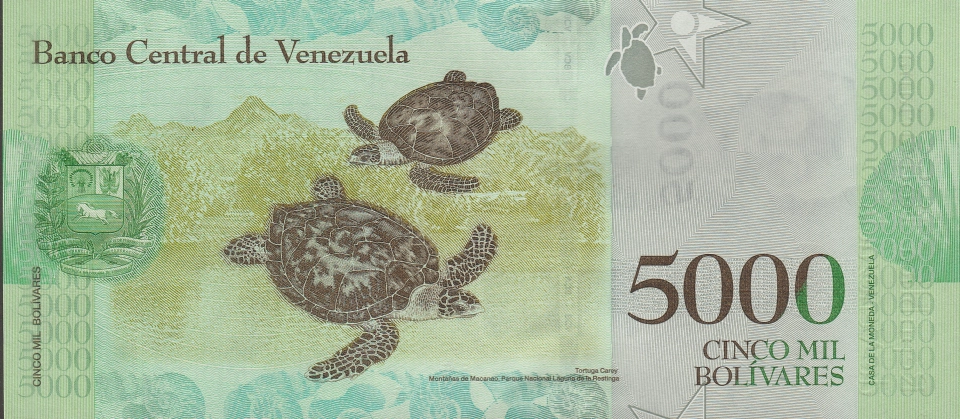 Imagem do verso da cédula