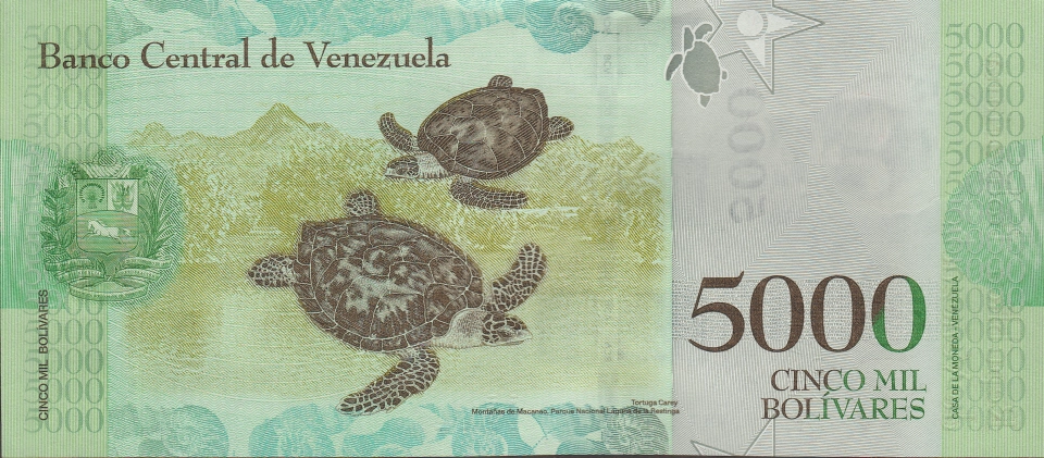 Imagem do verso da cédula